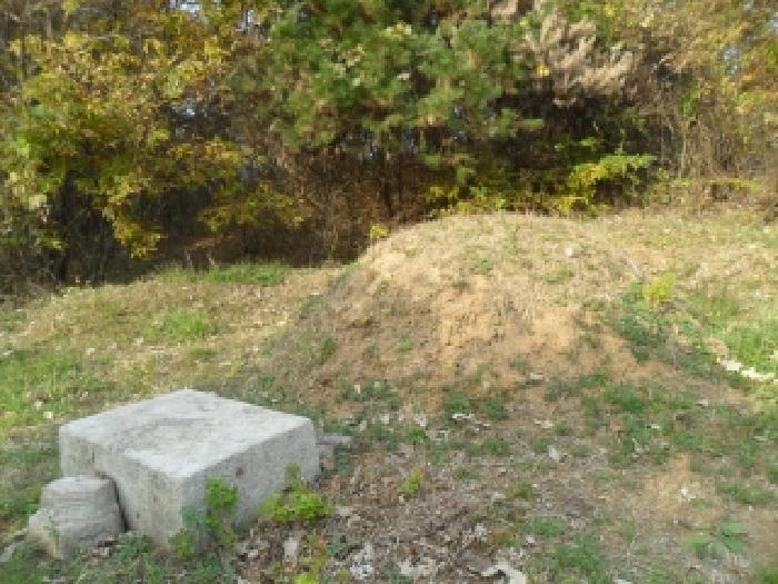 충남 서산시 인지면 임야 경매 물건 사진 4 · 2025타경51849