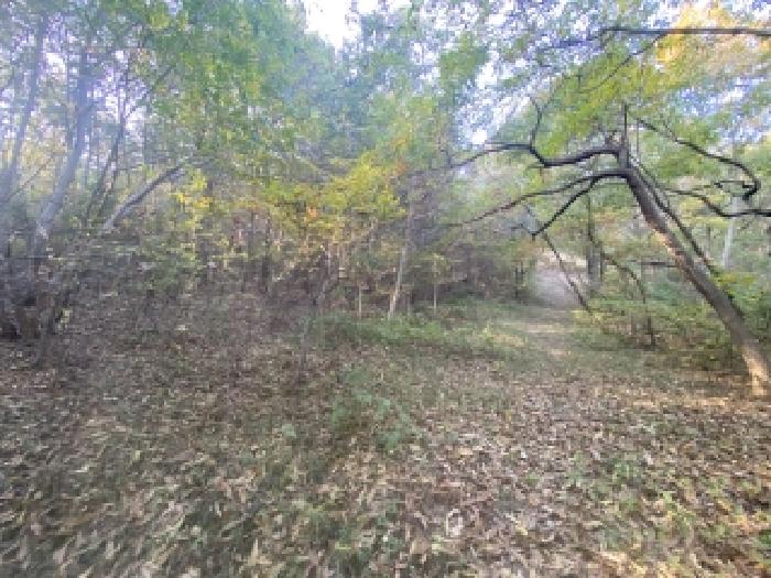 충남 당진시 순성면 전 경매 물건 사진 2 · 2025타경51858