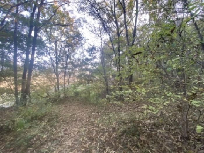 충남 당진시 순성면 전 경매 물건 사진 3 · 2025타경51858