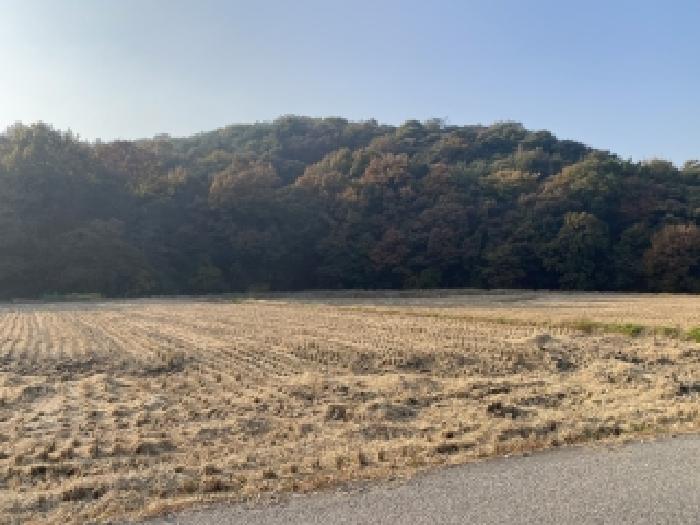 충남 당진시 순성면 전 경매 물건 사진 4 · 2025타경51858