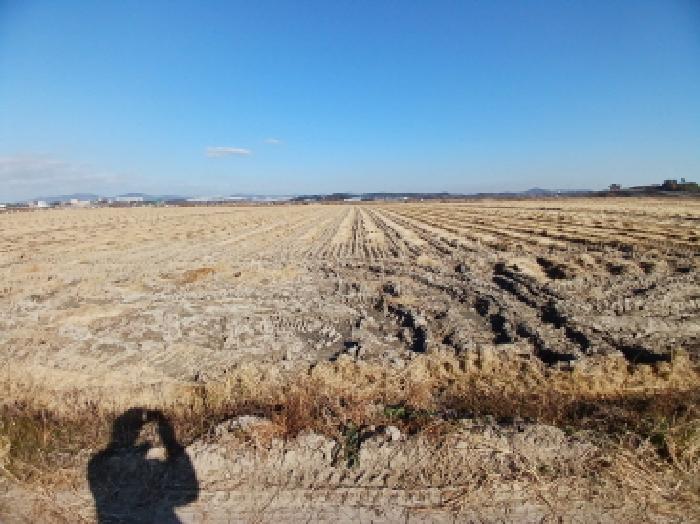 충남 서산시 해미면 전답 경매 물건 사진