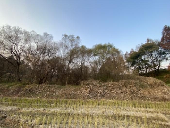 충남 당진시 신평면 전답 경매 물건 사진 4 · 2025타경51867