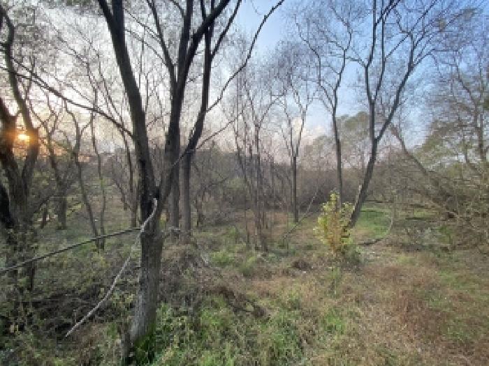 충남 당진시 신평면 전답 경매 물건 사진 5 · 2025타경51867