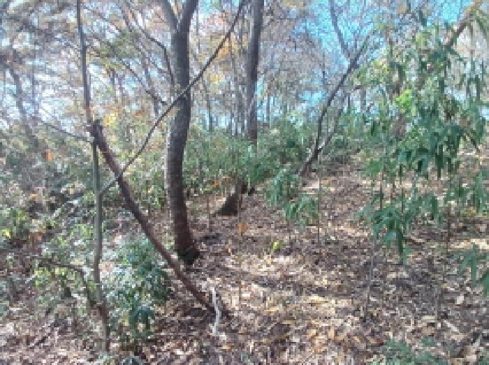 충남 서산시 음암면 임야 경매 물건 사진 5 · 2025타경51874