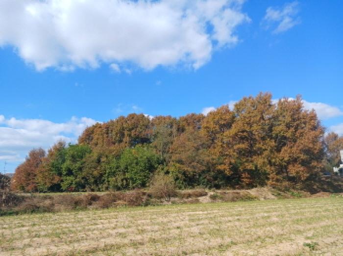 충남 서산시 음암면 임야 경매 물건 사진 2 · 2025타경51874