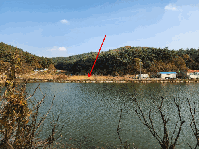 충청남도 태안군 고남면 장곡리 319-1 전답 경매 물건 사진