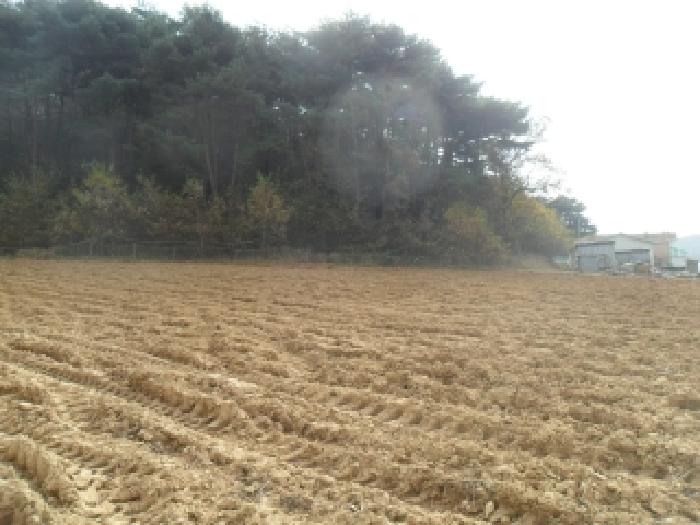 충남 태안군 고남면 전답 경매 물건 사진 5 · 2025타경51884