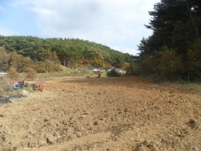 충남 태안군 고남면 전답 경매 물건 사진 6 · 2025타경51884
