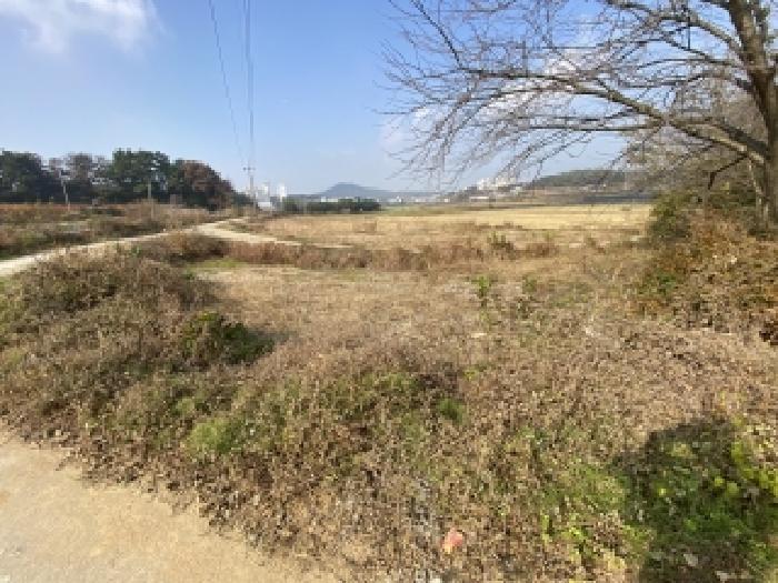 충남 당진시 송악읍 답 경매 물건 사진