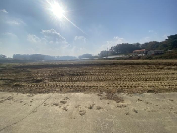 충남 당진시 송악읍 답 경매 물건 사진 3 · 2025타경51890