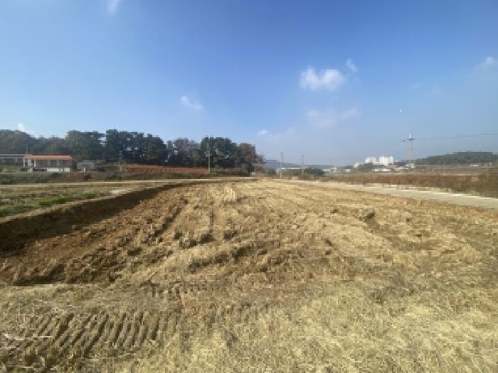 충남 당진시 송악읍 답 경매 물건 사진 4 · 2025타경51890
