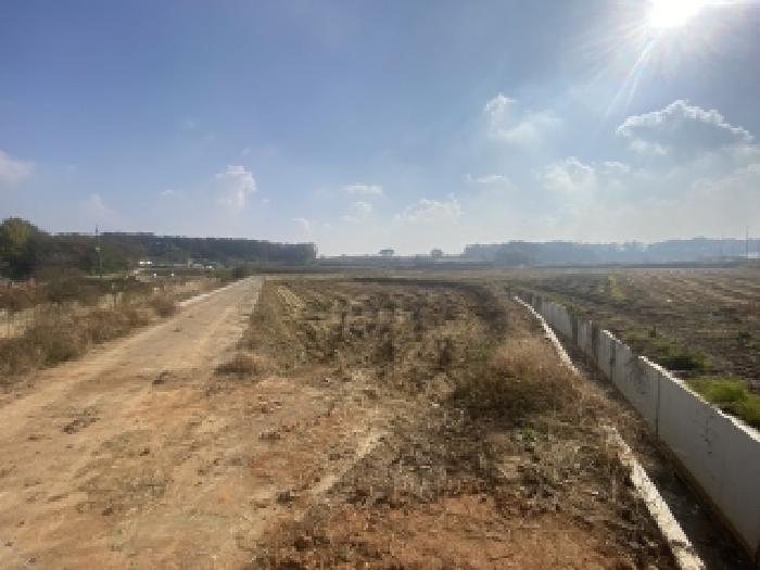 충남 당진시 송악읍 답 경매 물건 사진 5 · 2025타경51890