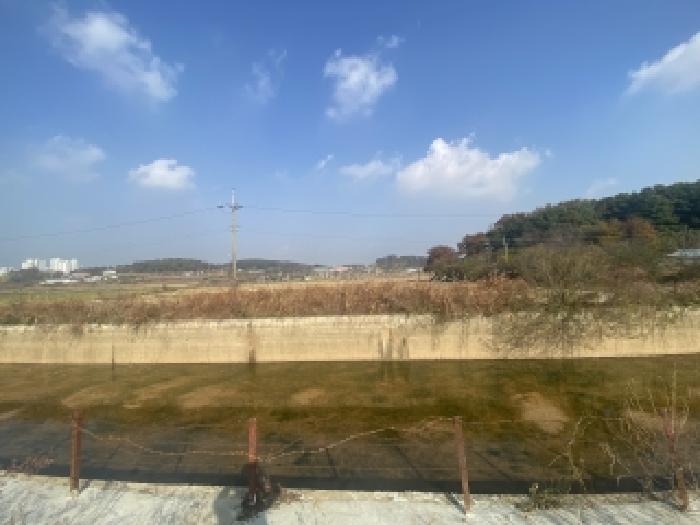 충남 당진시 송악읍 답 경매 물건 사진 6 · 2025타경51890