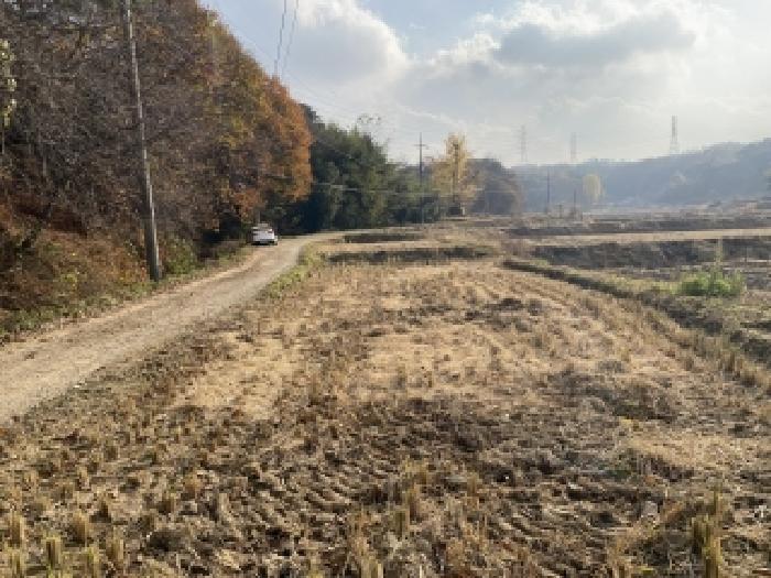 충남 당진시 송악읍 대지,임야,전답 경매 물건 사진 3 · 2025타경51896