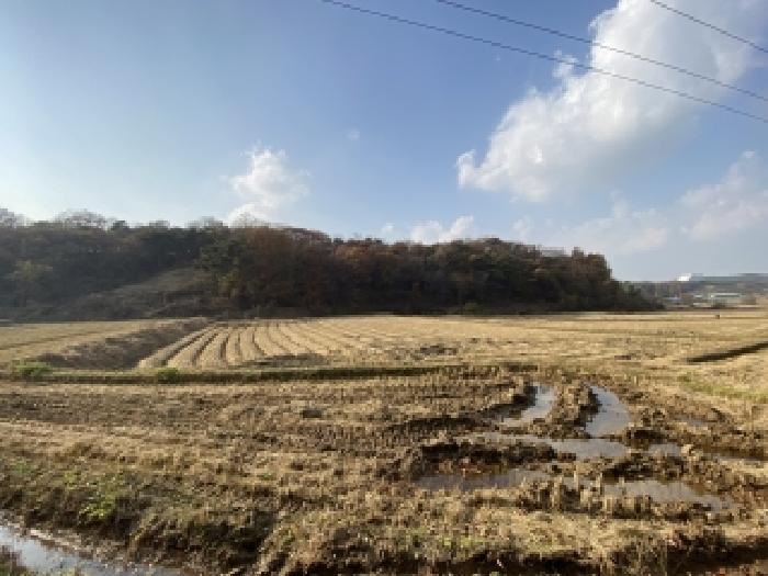 충남 당진시 송악읍 대지,임야,전답 경매 물건 사진 4 · 2025타경51896