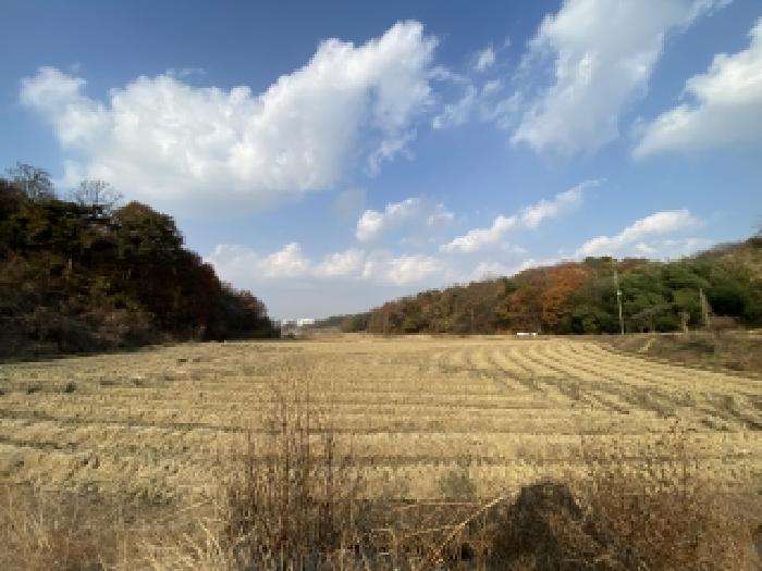 충남 당진시 송악읍 대지,임야,전답 경매 물건 사진 5 · 2025타경51896