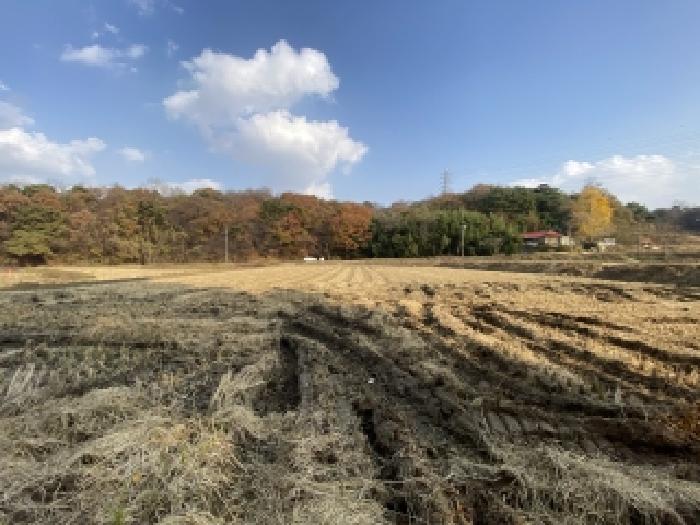 충남 당진시 송악읍 대지,임야,전답 경매 물건 사진 6 · 2025타경51896