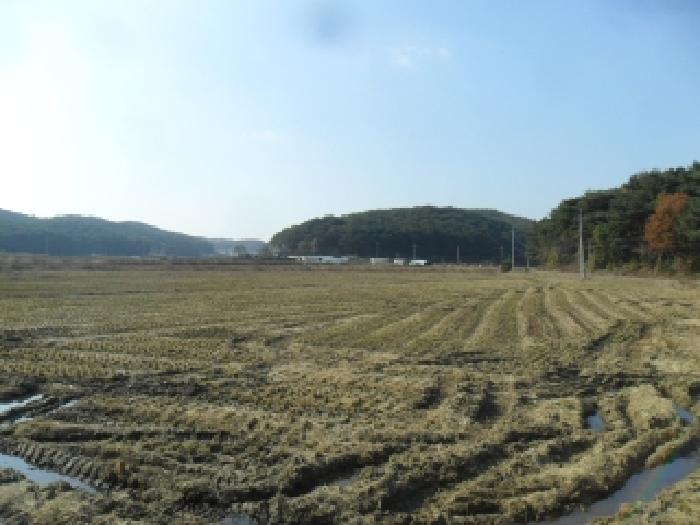 충남 태안군 안면읍 답 경매 물건 사진 5 · 2025타경51902