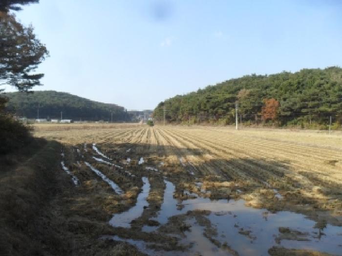 충남 태안군 안면읍 답 경매 물건 사진 6 · 2025타경51902