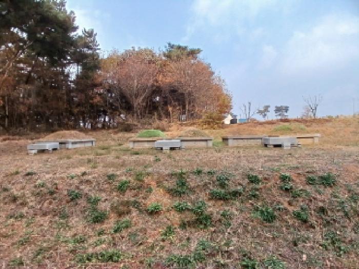 충남 서산시 음암면 임야 경매 물건 사진 2 · 2025타경51903
