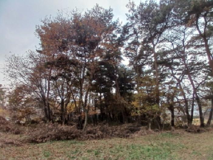 충남 서산시 음암면 임야 경매 물건 사진 3 · 2025타경51903