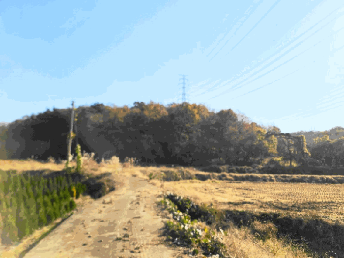 충남 당진시 송악읍 임야 경매 물건 사진 6 · 2025타경51904