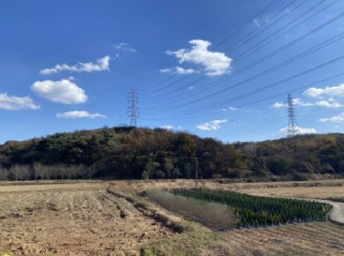 충남 당진시 송악읍 임야 경매 물건 사진