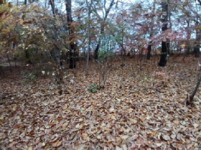 충남 당진시 석문면 대지,임야,전답 경매 물건 사진 2 · 2025타경51914