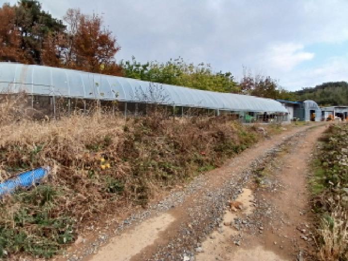충남 당진시 석문면 대지,임야,전답 경매 물건 사진 4 · 2025타경51914