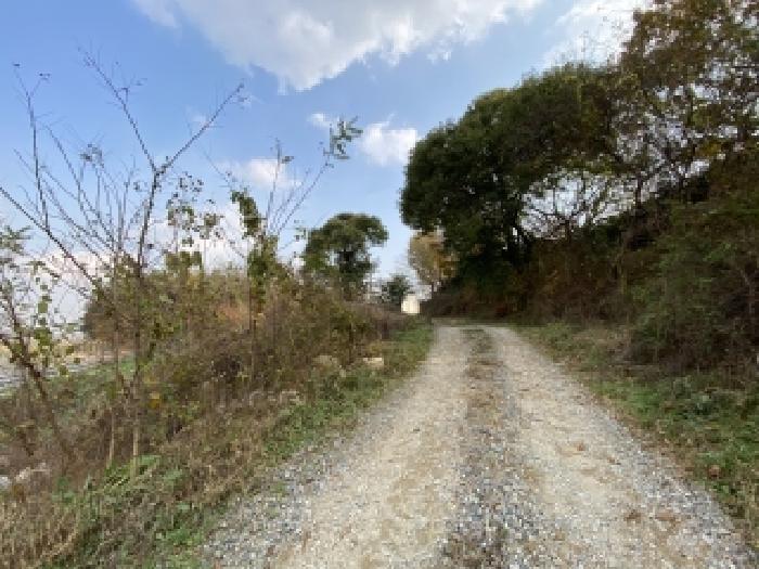 충남 당진시 송산면 임야 경매 물건 사진 2 · 2025타경51924