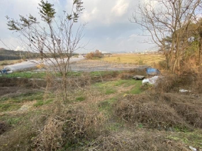 충남 당진시 송산면 임야 경매 물건 사진 6 · 2025타경51924