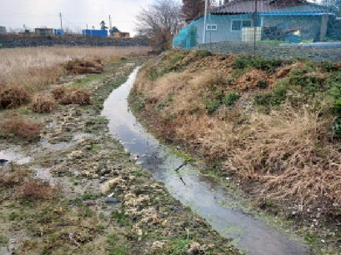 충남 서산시 대산읍 구거 경매 물건 사진 3 · 2025타경51929