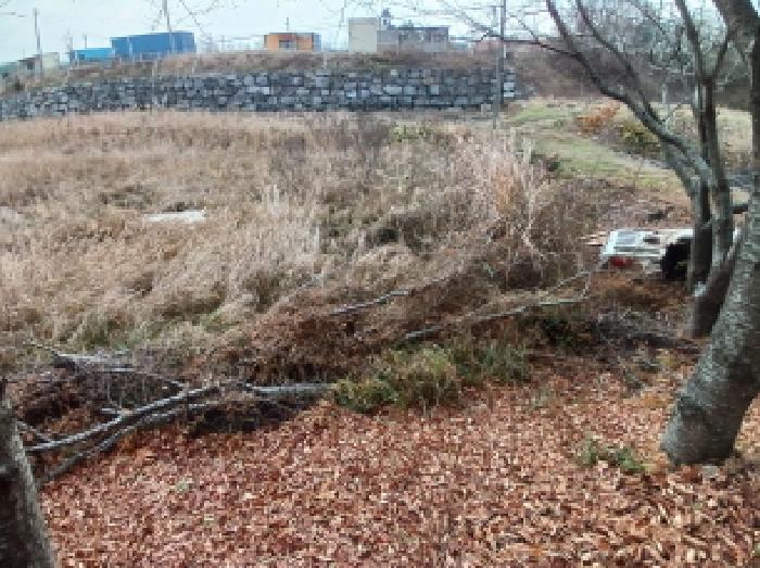 충남 서산시 대산읍 구거 경매 물건 사진 4 · 2025타경51929