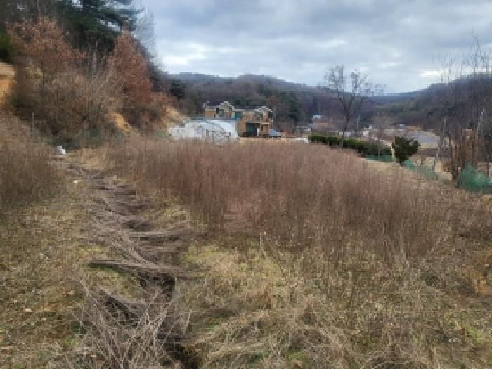 충남 당진시 순성면 단독주택 경매 물건 사진