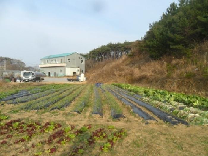 충남 태안군 안면읍 임야 경매 물건 사진 3 · 2025타경51932