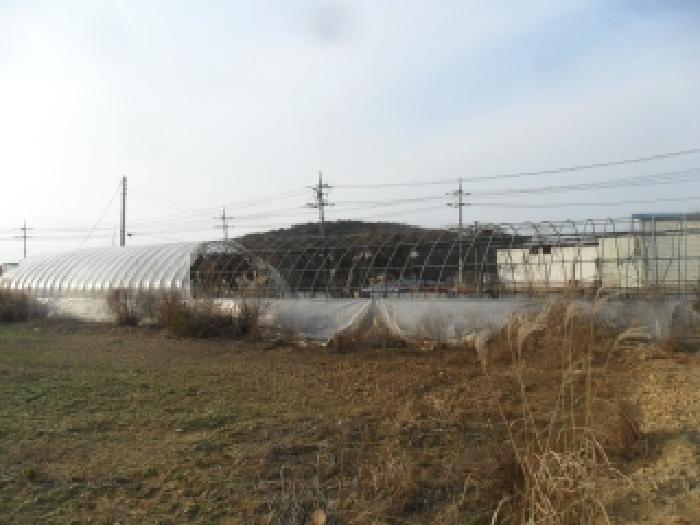 충남 태안군 안면읍 임야 경매 물건 사진 6 · 2025타경51932