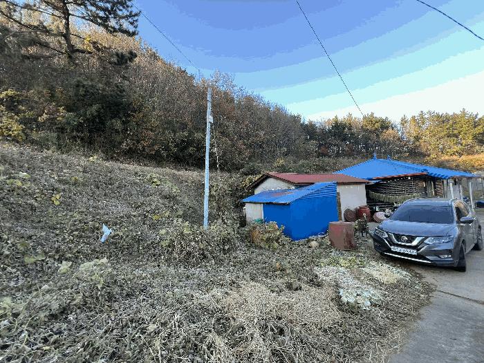 충남 태안군 이원면 전 경매 물건 사진 5 · 2025타경51940
