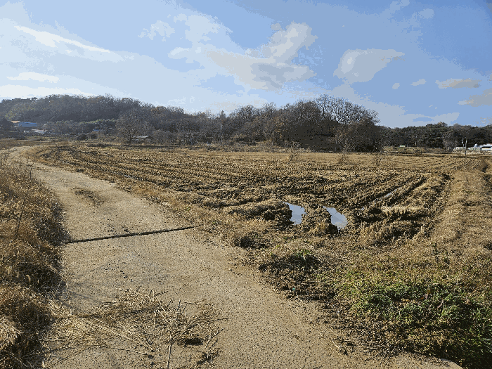 충남 당진시 고대면 전답 경매 물건 사진 6 · 2025타경51947