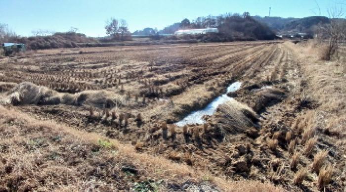 충남 당진시 고대면 전답 경매 물건 사진 2 · 2025타경51947