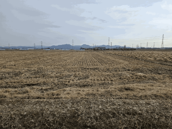 충남 당진시 합덕읍 전답 경매 물건 사진 4 · 2025타경51953