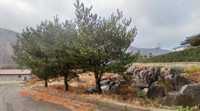 충남 서산시 운산면 임야 경매 물건 사진 4 · 2025타경51961