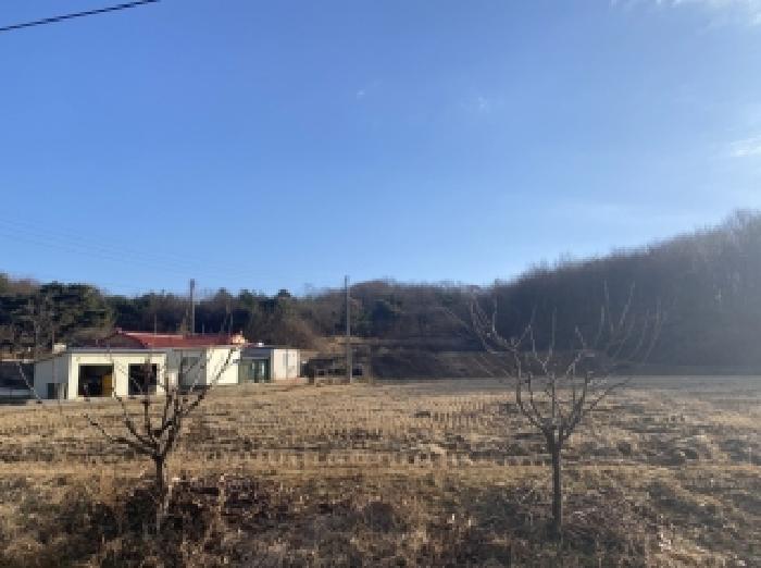 충남 당진시 면천면 임야 경매 물건 사진 2 · 2025타경51963