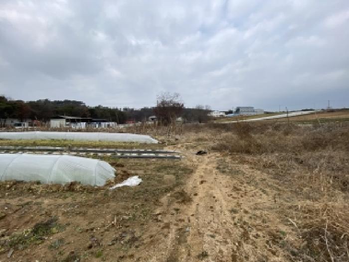 충남 당진시 신평면 목장용지 경매 물건 사진 2 · 2025타경51966