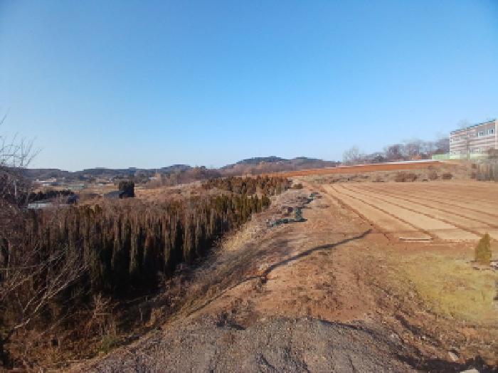 충남 서산시 음암면 임야 경매 물건 사진 5 · 2025타경51973