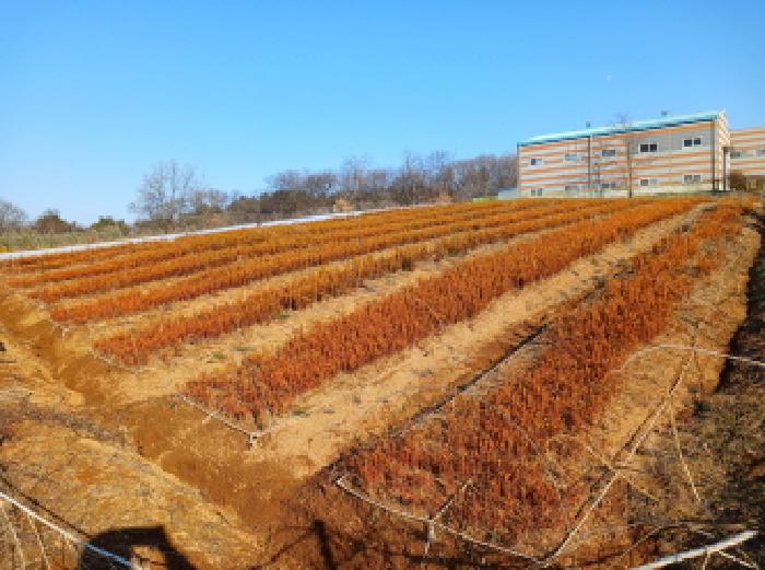충남 서산시 음암면 임야 경매 물건 사진 6 · 2025타경51973