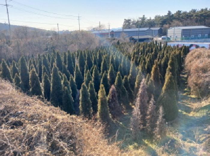 충남 서산시 음암면 임야 경매 물건 사진 3 · 2025타경51973