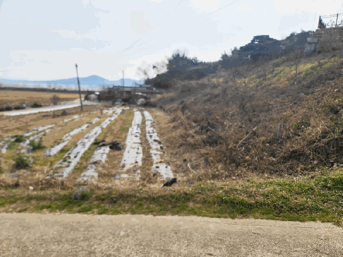 충남 서산시 대산읍 전답 경매 물건 사진 6 · 2025타경51974