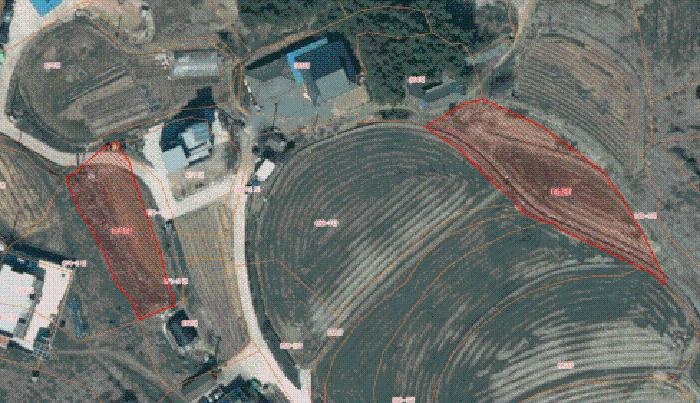 충남 서산시 대산읍 전답 경매 물건 사진