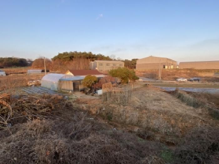 충남 당진시 신평면 전 경매 물건 사진 6 · 2025타경51977