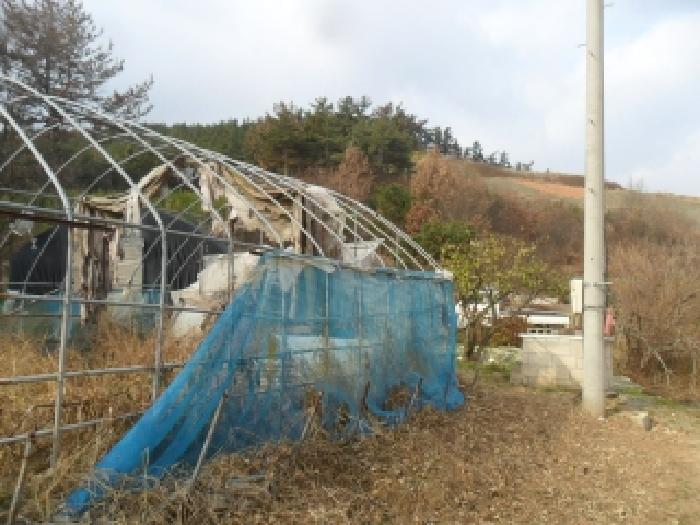 충남 태안군 원북면 임야 경매 물건 사진